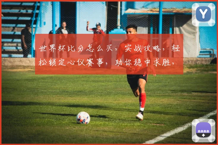 世界杯比分怎么买，实战攻略，轻松锁定心仪赛事，助你稳中求胜，笑傲彩市