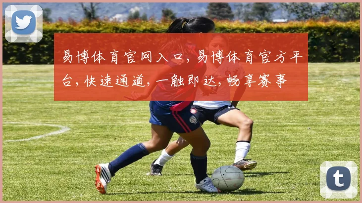 易博体育官网入口,易博体育官方平台,快速通道,一触即达,畅享赛事